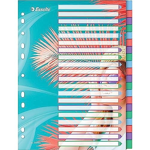 Esselte A4-Registerkarten, 20 Trennblätter für Ringbücher und Aktenordner, für Zuhause/Büro, zur Schreibtischorganisation, Colour'Breeze Serie, Mehrfarbig, 628502 von Esselte