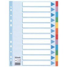 Esselte Kartonregister Standard Blanko, A4, Karton, 12 Blatt, weiss von Esselte