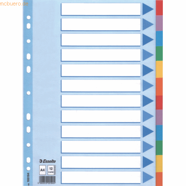 Esselte Register A4 160g/qm Karton 12-teilig von Esselte