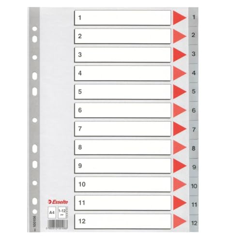 Esselte Register für A4, Deckblatt aus Karton und 12 Trennblätter aus Kunststoff, Taben mit Zahlenaufdruck 1-12, Überbreite, Grau, 100106 von Esselte