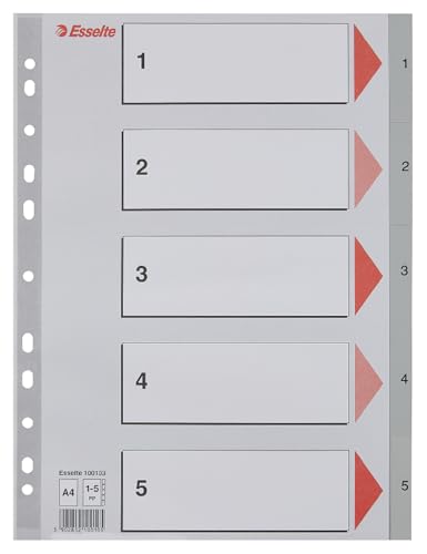 Esselte Register für A4, Deckblatt aus Karton und 5 Trennblätter aus Kunststoff, Taben mit Zahlenaufdruck 1-5 Tabs, Überbreite, Grau, 100103 von Esselte