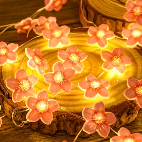 Etopgo LED Lichterkette Kirschblüten, 2M 20 LED Lichterkette Innen Batterie, Lichterkette Blumen Girlande mit Timer, Lichterkette Frühling Deko für Festival, Innen/Außen, Hochzeit, Party von Etopgo