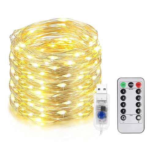 20M LED-Lichterkette, 200 66ft LED Wasserdichte Silberdraht-Lichter, USB Aufladbare Lichterkette, 8 Modi mit Fernbedienung Warmweiß für Garten, Patio, Zimmer, Party, Weihnachtsfeier Hochzeit, DIY von EvaStary