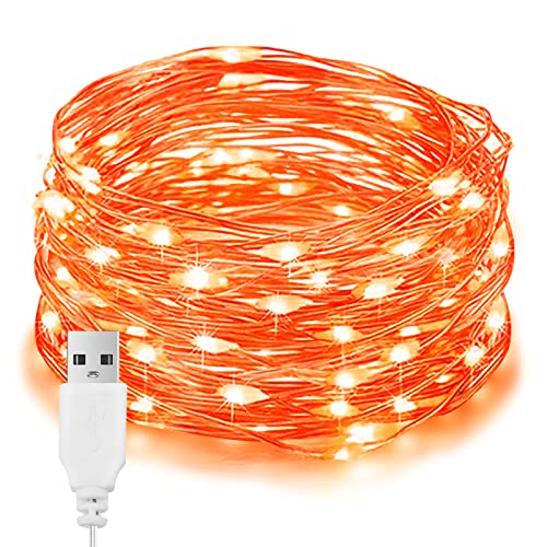 EvaStary Halloween Deko Lichterkette, Herbst Deko Lichterkette, 10M 100LEDs USB Orange Innen Lichter, IP65 wasserdicht Licht für Halloween-Party-Dekoration, Innen/Außen Dekoration von EvaStary