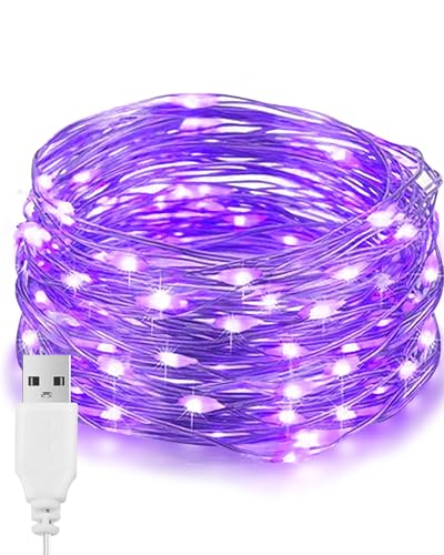 LED Lichterkette, 33Ft/10M 100Leds Weihnachtsschnur-Lichter LED innen LED String Lichterkette USB Betrieben, Wasserdicht Lichter für Weihnachtsbaum CHRISTMAS, Festlich, Hochzeiten, Lila von EvaStary