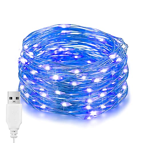 LED Lichterkette Blau, IP65 Wasserdichter Silberdraht 10M 100LEDs Außen Lichterketten Blau, USB-betriebene Stecker-Lichterkette für Patio Camping Hochzeit von EvaStary