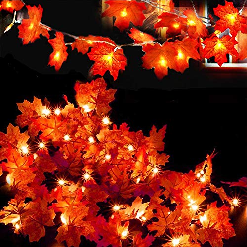 Evance 2 Stück Ahornblätter Lichterkette, 10FT 20LED Ahornblatt Lichterketten Herbst Blättergirlande Batteriebetrieben Innen Außen Deko für Thanksgiving Halloween Weihnachten (20FT/40LED) von Evance