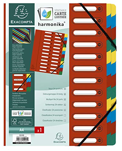 Exacompta 55245E Premium Ordnungsmappe Harmonika. Aus extra starkem Colorspan-Karton DIN A4 24 Fächer und 2 Gummizüge mit Indexfenster und dehnbarem Rücken Register-Mappe rot von Exacompta