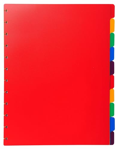 Exacompta 86003E 10er Pack Kunststoff-Register überbreit. Rot, Für DIN A4 24 x 30,5 cm volle Höhe mit Organisationsdruck 10-teilig vollfarbig 2 x 5 Farben zur Ablage von Prospekthüllen von Exacompta