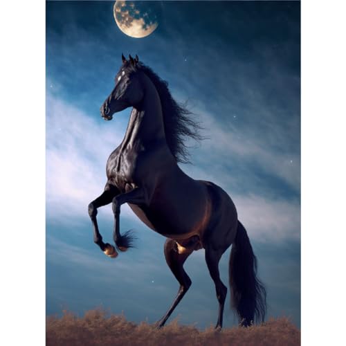 F4B Pferd mit Mond Diamond Painting 30x40cm | Quadratische Strasssteine | Tiere | Pferde | Fohlen | Natur | Landschaft | Diamond Painting Paket Erwachsene | Kinder | Volldeckend von F4B