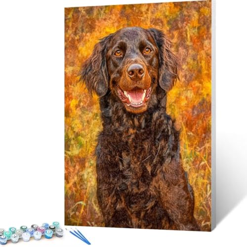 Malen Nach Zahlen Erwachsene Hund, Paint by Numbers Tier Malen Nach Zahlen, DIY Vorgedruckte Leinwand Ölgemälde Kits, öLgemäLde Bastelset Erwachsene DIY, Home Decor Asthetik, Geschenk 40x55cm Y- 3 von FANLIGZU