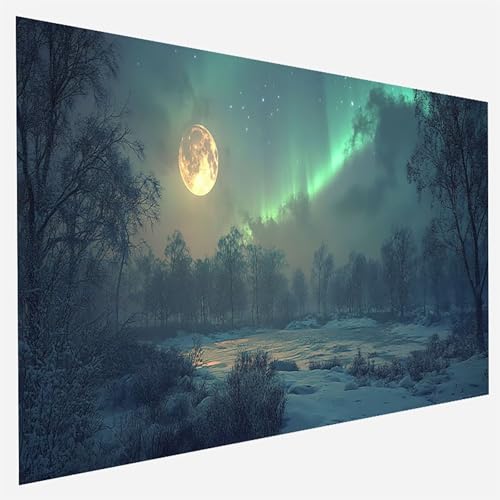 Malen Nach Zahlen Erwachsene Mond, Paint by Numbers Bastelset Erwachsene, DIY Malen Nach Zahlen für Erwachsene und Anfänger Aurora, Bastelset Erwachsene Frauen, Home Wand Dekor Geschenk 60x120cm 5-Y-4 von FANLIGZU