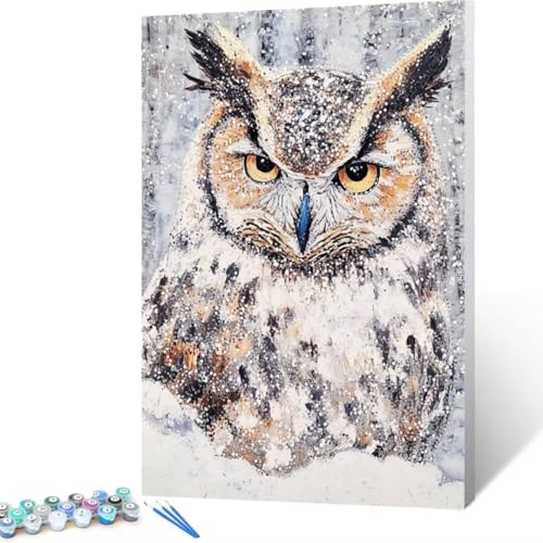 Malen Nach Zahlen Eule, Malen Nach Zahlen Erwachsene, Malen Nach Zahlen Kinder Winter, Pinsel Malen Nach Zahlen, Bastelset Erwachsene DIY für Home Haus Decor Geschenk 70x95 cm (Ohne Rahmen) J- 6 von FANLIGZU