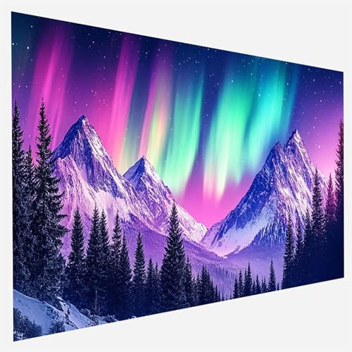 Sternenhimmel Malen Nach Zahlen Erwachsene, Malen Nach Zahlen DIY Handgemalt Ölgemälde Kit für Anfänger und Erwachsene, Paint by Numbers Basteln mit Pinseln Home Wand Dekor, 50x100cm Aurora P-Z-4 von FANLIGZU