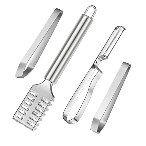 4 Stücke Fisch Scaler Entferner Set, Fisch Pinzette für Fisch Knochen, Schälmesser und Detailpinzette, Fischschuppenmaschine Edelstahl Fischschuppenhobel,für Koch Kochgeschirr, Meeresfrüchte, Geflügel von FANSEZQ