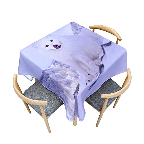 FANSU Rechteckig Tischdecke Wasserabweisend Polyester Optik, 3D Fuchs Fleckschutz Tischwäsche Pflegeleicht Abwaschbar für Home Küche Dekoration (Schneeberg,100x140cm) von FANSU