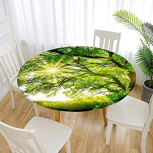 FANSU Runde Tischdecke Garten Abwaschbar, 3D Motiv Serie Polyester Fleckschutz Tischdecken Größe wählbar für Gartentisch, Outdoor in Kiche, Haushalt & Wohnen (Sonnenschein,Durchmesser 200cm) von FANSU