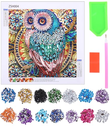 FAOKZE Diamond Painting Set für Kinder Erwachsene,Eule diamant painting bilder,DIY 5d Diamond Painting,mit Diamond Painting Zubehör,Geschenke für Mädchen Ab 7-15 Jahre und Jugendliche (40 * 40 cm) von FAOKZE