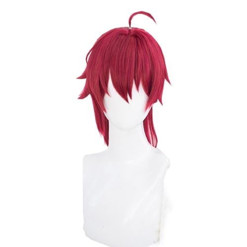 Kurzhaarperücke Anime, Kostümperücke für Anime Cosplay Perücke 35cm lang rot kurz Damen Perücken hitzebeständig Perücke von FBHDKJNFG