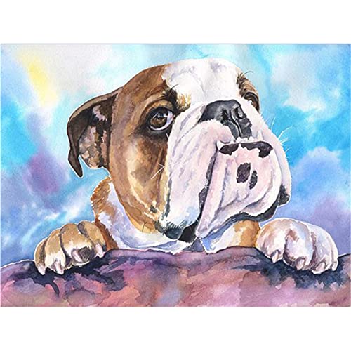 DIY 5D Diamond Painting Bilder Set für Erwachsene Kinder, Round Drill Englische Bulldogge 20x25cm Groß Diamant Malerei Stickerei Voll Strass Kreuz Stich Mosaik Gemälde Wanddekor Kunsthandwerk Geschenk von FDGDFG