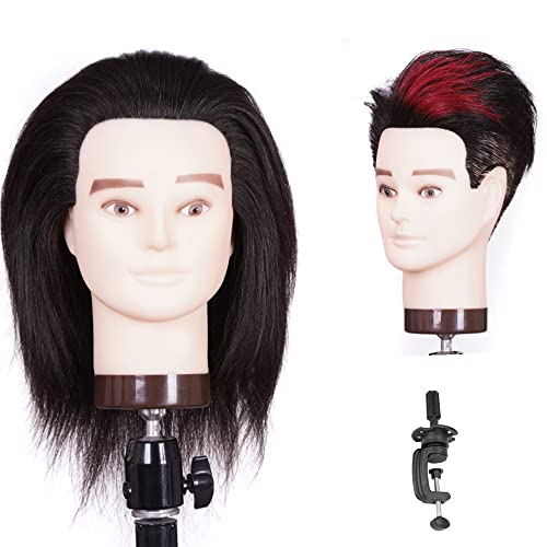 Männliche Trainingsköpfe Kopf 100% Menschliches Haar, Friseur Mannequin Kopf Mannequin Kopf Mannequin Kopf zum Schneiden Styling Mit Training Puppenkopf für Haarstyling und Praxis mit Klemmenstand… von FEIYANJF