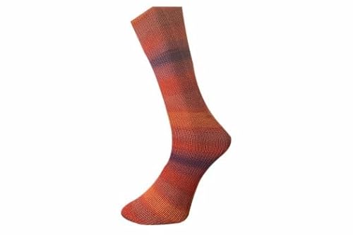 FERNER WOLLE Mally Socks 6-Fach Merino 2023 638-23 von FERNER WOLLE