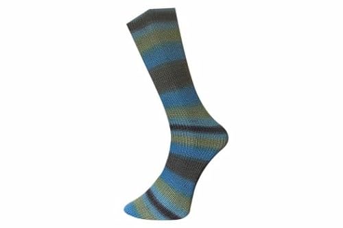 Ferner Wolle Mally Socks 6-Fach Merino 2023 640-23 von Ferner Wolle