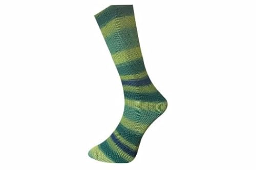 Ferner Wolle Mally Socks 6-Fach Merino 2023 641-23 von Ferner Wolle