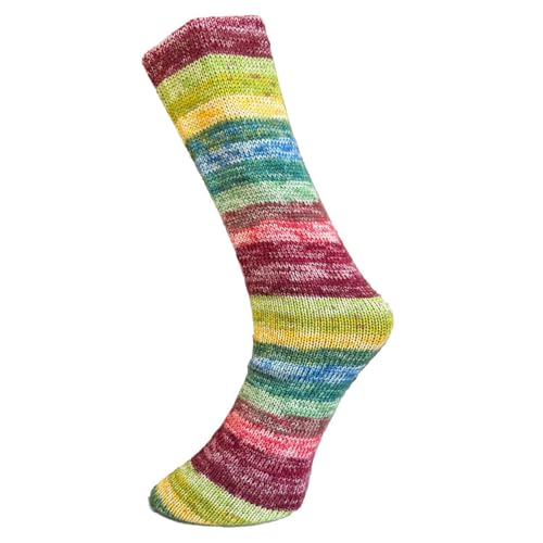 FERNER WOLLE Mally Socks 6-Fach Merino 2024 738-24 von FERNER WOLLE