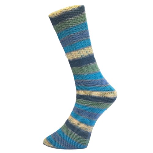 Ferner Wolle Mally Socks ROTE NASEN 6-fach Clown 11 von FERNER WOLLE