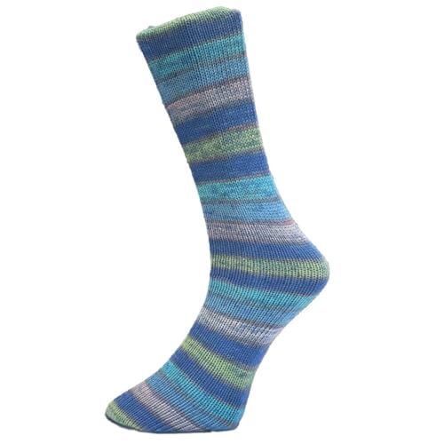 Ferner Wolle Mally Socks ROTE NASEN 6-fach Clown 14 von FERNER WOLLE