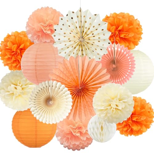 Orange Beige Pfirsich Party Dekorationen Seidenpapier Pompoms Papier Fans Fächer und Wabenbälle Dekorpapier Kit für Herbst Party Geburtstag Hochzeit Baby Dusche Brautdusche Dekorationen von FETETIJD