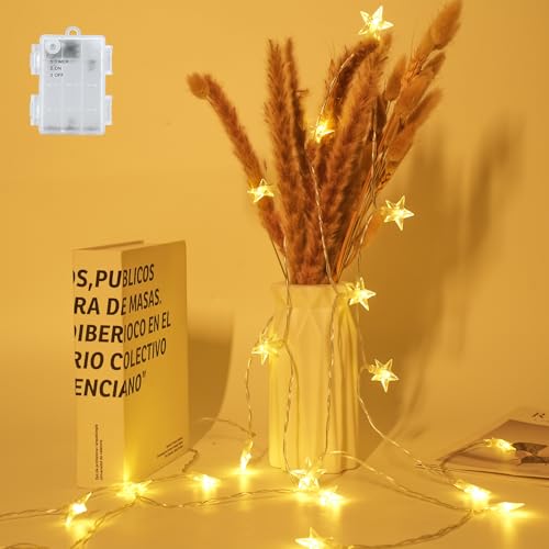 FFZZKJ Lichterkette Sterne für kinderzimmer, Lichterkette Innen Außen mit Timer Batteriebetrieben für Weihnachten, 3M 20LED, Warmweiß von FFZZKJ