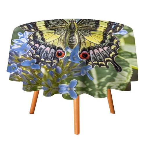 FHECVBN Runde Tischdecken, schöner Schmetterling, bedruckt, Thanksgiving-Tischdecke, waschbar, dekorative Polyester-Tischdecke für Party, Esstisch, Hochzeit, Heimdekoration, 127 x 127 cm von FHECVBN