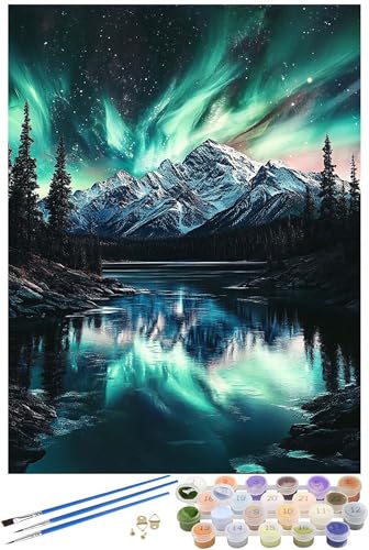 Aurora Malen Nach Zahlen Erwachsene mit Rahmen, Schneeszene Malen Nach Zahlen ab 7 Jahre Mädchen Kinder Anfänger, Paint by Numbers Bastelset mit 3 Pinseln und Acrylfarbe, Home Wanddeko, 50x70cm -5886 von FHFFTZSC