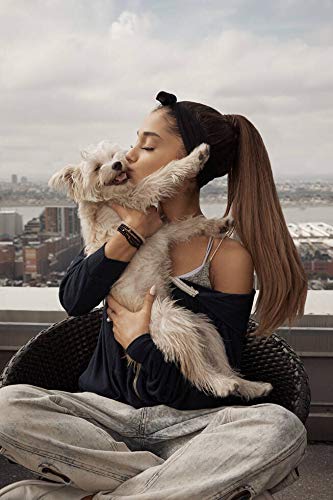 FHGFB 5D DIY「Ariana Grande Poster」Diamond Painting Kits für Erwachsene Anfänger,Kunst malerei Strass-Stickerei kreuzstich Kits,Kunst leinwand wanddekoration Geschenke 40x60cm von FHGFB