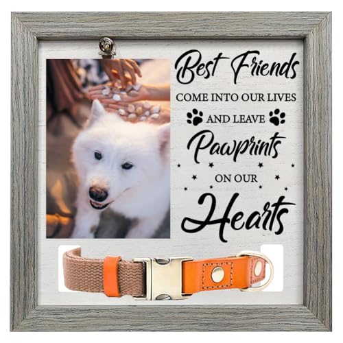 FINGERINSPIRE Haustier Gedenk Bilderrahmen 23x23 cm Beste Freunde Kommen In Unser Leben Und Hinterlassen Pfotenabdrücke Auf Unseren Herzen Holz Haustierrahmen Mit Fotoclip Halsbandhalter Fotorahmen von FINGERINSPIRE