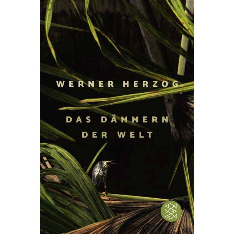 Das Dämmern Der Welt - Werner Herzog, Taschenbuch von FISCHER Taschenbuch