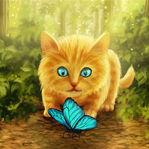 FIYO 5D Diamond Painting Kits, Schmetterling Katze Vollbohrer Kristall Strass Kreuzstich Stickerei Landschaft Diamant Malerei DIY Diamond Art Drills Stickerei für Wohnkultur Geschenk 30x30 cm von FIYO