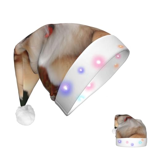 FJWSLCH Weihnachtsmütze mit kurzhaarigem Zwergspitz, dicker Samt, Unisex, LED-Licht, Weihnachtsmannmütze, Geschenk für Partyzubehör von FJWSLCH