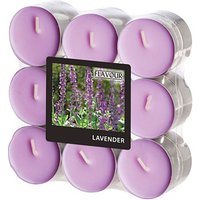 18 FLAVOUR by GALA Teelichter violett Lavender von FLAVOUR by GALA