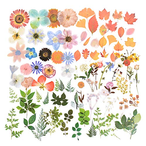 FLOFIA 160PCS Scrapbooking Sticker Blumen Aufkleber Pflanzen Scrapbook Stickers Zubehör Aufkleber Kalender Fotoalbum Tagebuch Notizbuch Bullet-Journal von FLOFIA