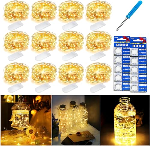 FLSEPAMB 12 Pack * 2 M Lichterkette Klein mit Batterie,DIY Led Lichterkette mit Batterie Kostenlos 10 Batterien,Dauerhaft Lichterkette Mini Led Innen Wasserdicht(12 * 2 M) von FLSEPAMB