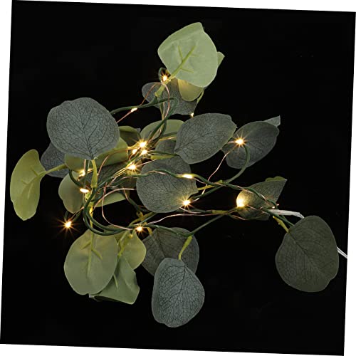 FONDOTIN Eukalyptus Girlande Mit Licht Künstliche Blatt Lichterkette Mit 20 LEDs Für Stimmungsvolle Beleuchtung Ideal Für Dekorationen Im Innenbereich Hochzeiten Und Partys Warmweiß von FONDOTIN