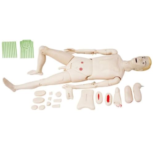 FOVIGUO Patientenpflege Menschliche Manikin, Demonstration Menschenpuppe, 170 cm, Lebensgröße für Krankenpflege, medizinische Ausbildung von FOVIGUO