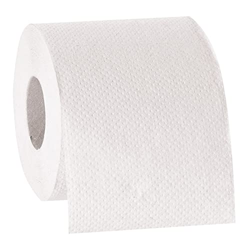 HygoClean Toilettenpapier, natur, 2-lagig, 250 Blatt 9,5x11,5cm, 8x8 Rollen, 100% Recyclingpapier von FRANZ MENSCH