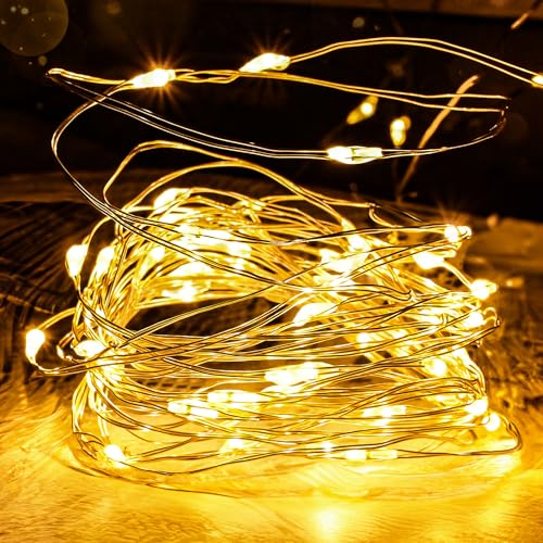 FREMON Lichterkette, 8 Beleuchtungsmodi Weihnachtsbeleuchtung, Warmweiß LED lichterkette innen und Außen, Memoryfunktion Fairy Lights mit Weihnachtsdeko, Baum, Party, Hochzeit, Zimmer Deko(1Stück 5M) von FREMON