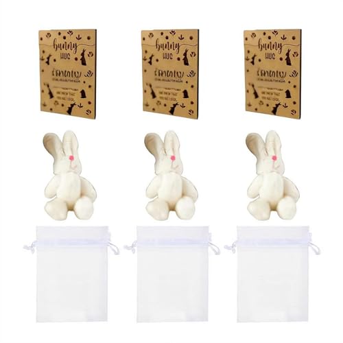 Bunny Hug Party Bevorzugungen, Ostern Tasche Bunny Plüschtier Geschenk mit Karte Organza Tasche für Lehrer Studenten Ostern Party Bevorzugungen Braut Hochzeit von FROVOL