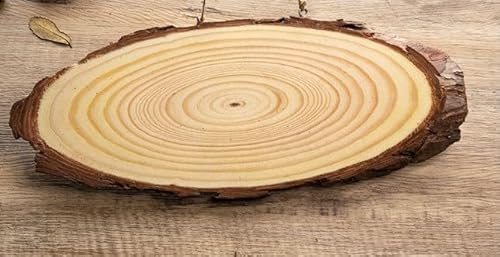 FUNSUEI 10 Stück Oval Holzscheiben 30cm Durchmesser, Ovale Baumscheiben Deko, Unvollendete Holzscheiben zum Basteln Naturholzscheiben für DIY Handwerk von FUNSUEI