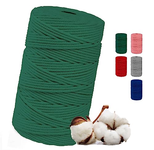 Makramee Garn 3mm x 100m, Baumwollgarn für DIY Handwerk | Baumwollschnur für Stricken | Baumwollseil für Wandbehänge und Pflanzen Aufhänger (Grün - 3MM x 100m) von FW FadenWelt